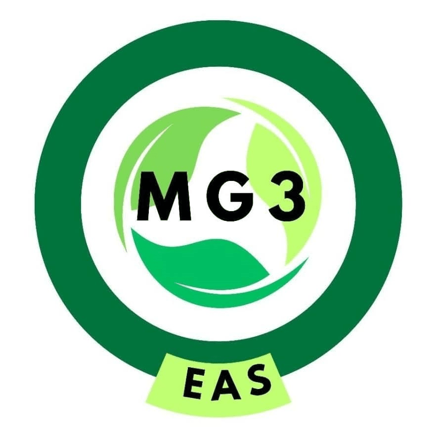 MG3 E.A.S